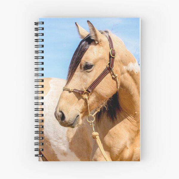 Item preview, Buckskin mare designed and sold by tahoetackntrain.