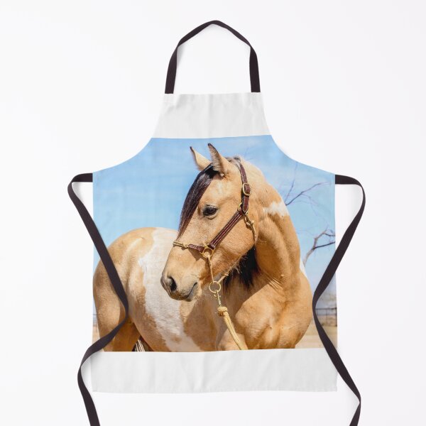 Item preview, Buckskin mare designed and sold by tahoetackntrain.