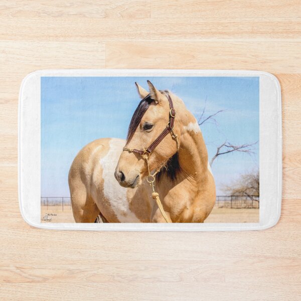 Item preview, Buckskin mare designed and sold by tahoetackntrain.