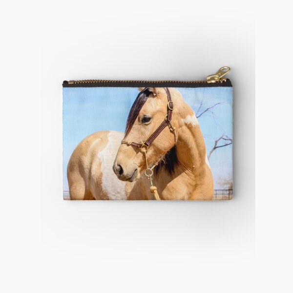 Item preview, Buckskin mare designed and sold by tahoetackntrain.