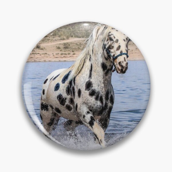 Item preview, Appaloosa Splash designed and sold by tahoetackntrain.