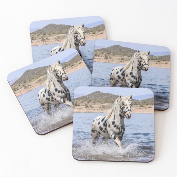 Item preview, Appaloosa Splash designed and sold by tahoetackntrain.