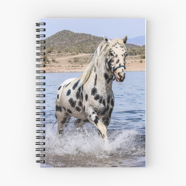 Item preview, Appaloosa Splash designed and sold by tahoetackntrain.