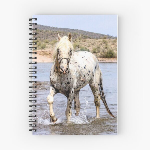 Item preview, Appaloosa Water Walk designed and sold by tahoetackntrain.