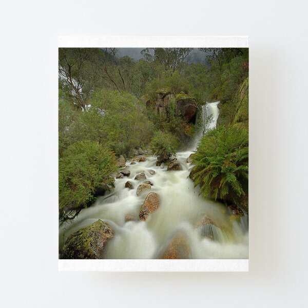 Stormy day, Mount Buffalo Canvas Mounted Print
