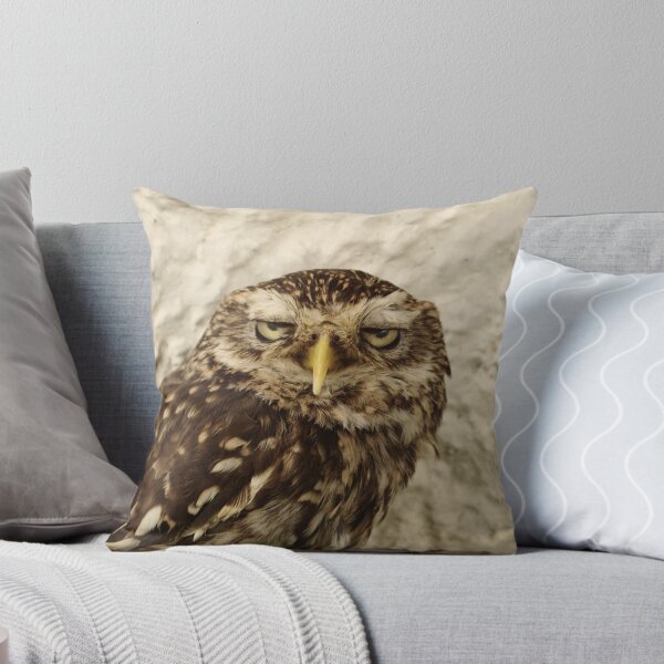 Aperçu de l'œuvre Stern Little Owl créée et vendue par Adrian Wale.