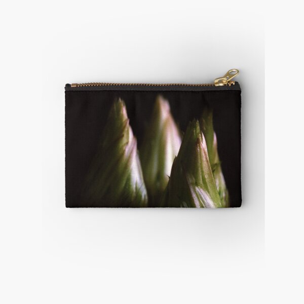 Item preview, Cactus Flower Buds designed and sold by Debjaphotography.