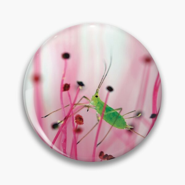 Item preview, 1mm Gazelle in Small New World designed and sold by Nadav Bagim  - AimishBoy.