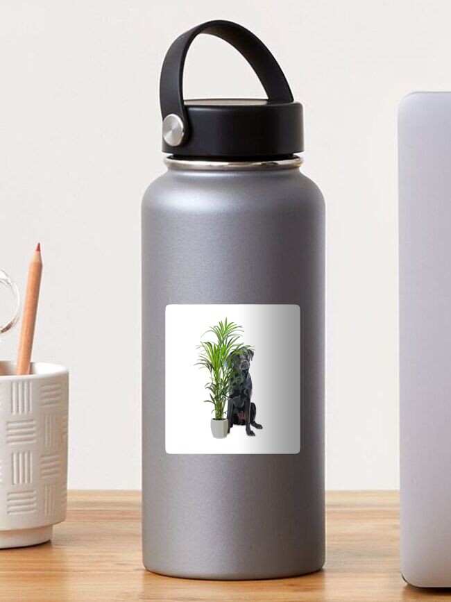 Thumbnail 1 of 3, Sticker, Black Labrador and house plant designed and sold by rosalindjelbert.