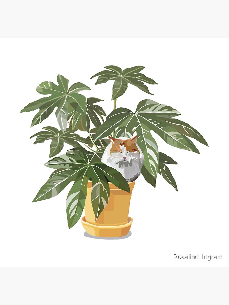 Thumbnail 3 of 3, Sticker, Ginger cat and house plant designed and sold by rosalindjelbert.