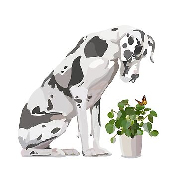 Artwork thumbnail, Great Dane with house plant and butterfly by Rosalind Ingram