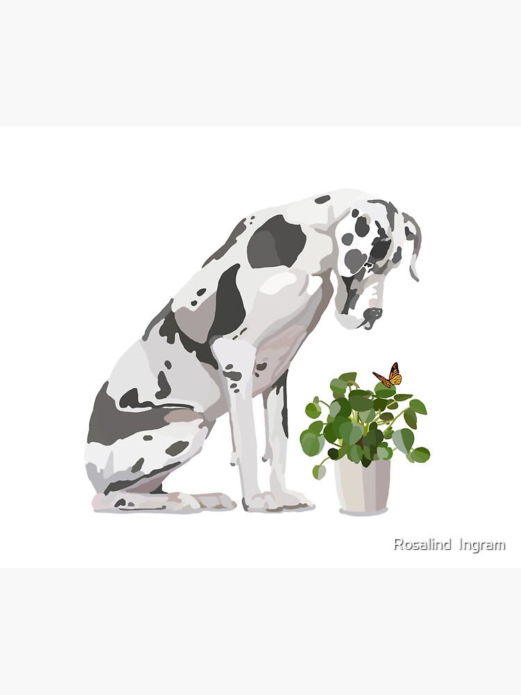 Thumbnail 3 of 3, Sticker, Great Dane with house plant and butterfly designed and sold by rosalindjelbert.