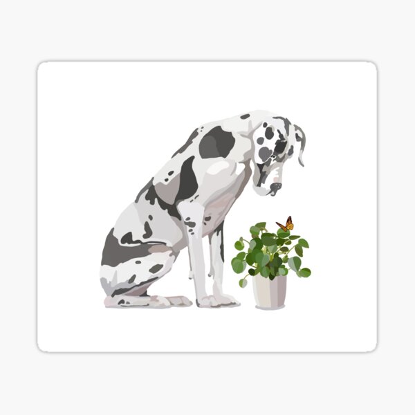 Great Dane with house plant and butterfly Sticker