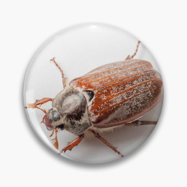 Item preview, Cockchafer designed and sold by Ingo Gerlach.