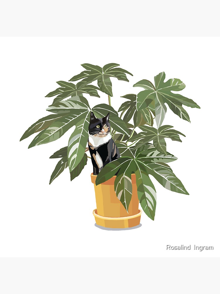 Thumbnail 3 of 3, Sticker, Cat with house plant designed and sold by rosalindjelbert.