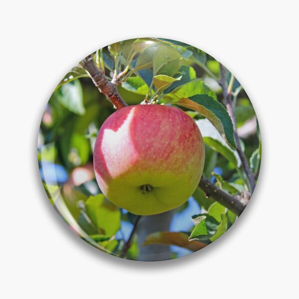 Item preview, Apples on a Tree designed and sold by johnnyp1975.