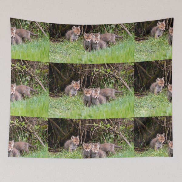 Item preview, Young foxes in front of the burrow designed and sold by Ingo Gerlach.