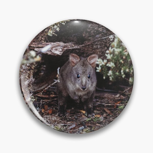 Item preview, Pademelon  designed and sold by DeborahPhotog.