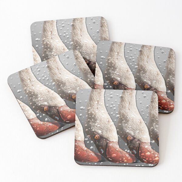 Item preview, Flamingos eating designed and sold by Ingo Gerlach.