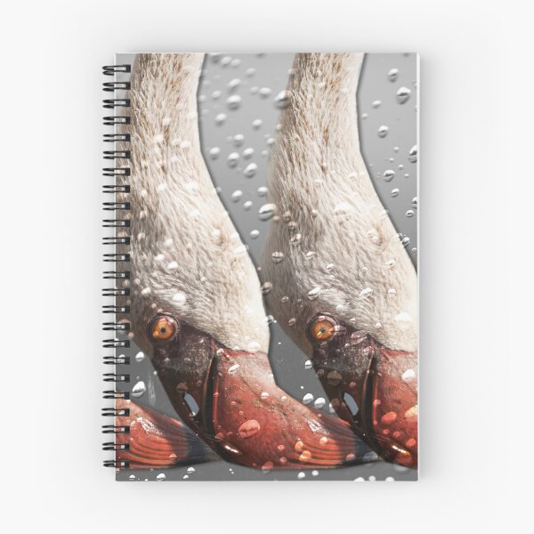 Item preview, Flamingos eating designed and sold by Ingo Gerlach.