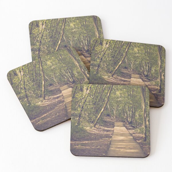 Item preview, Sunlight through the trees, Nidd Gorge designed and sold by Elliot Crippen.