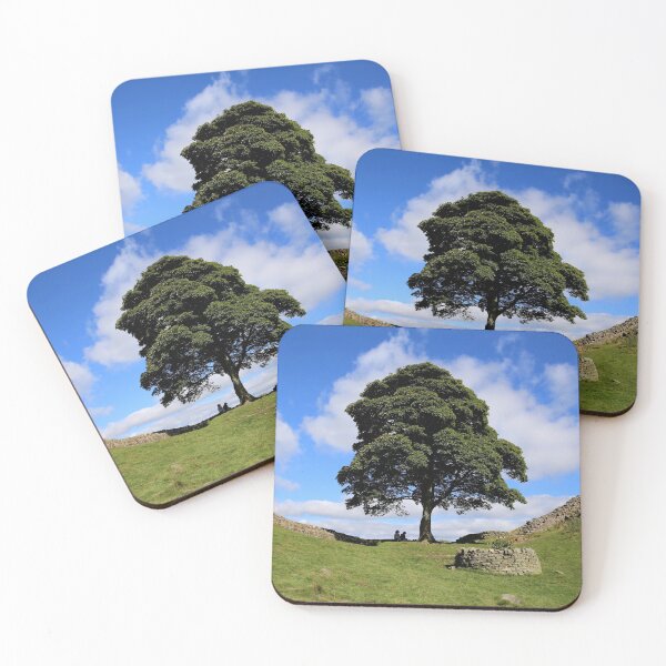 Item preview, Sunny Sycamore Gap designed and sold by CumbriaArt.