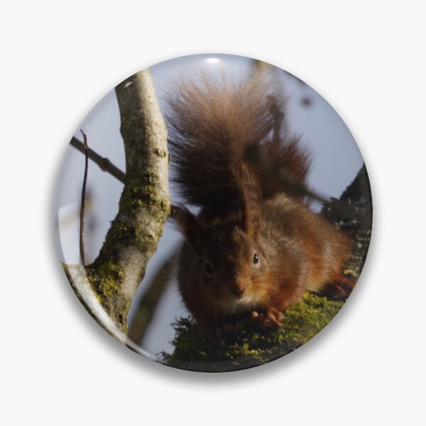 Item preview, British Red Squirrel designed and sold by CumbriaArt.