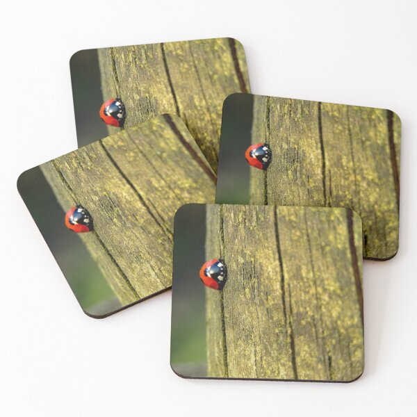 Item preview, Ladybird on wood  designed and sold by Joanne Wall.