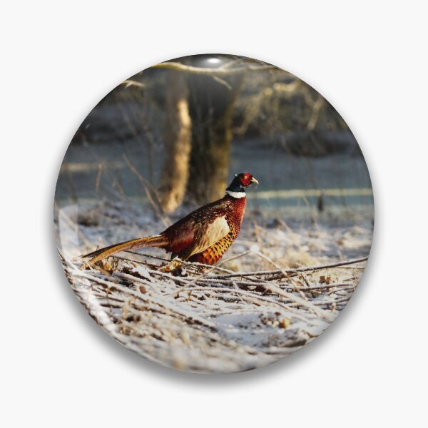 Item preview, Winter Ringneck Pheasant designed and sold by CumbriaArt.