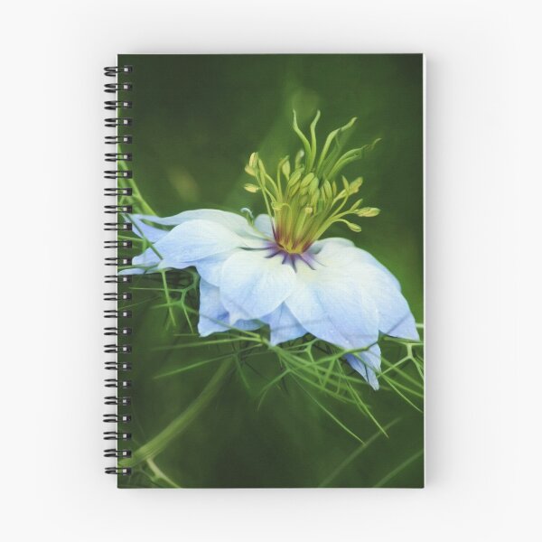 Item preview, Nigella Damascena (Versión Painterly) designed and sold by Tracy Friesen.