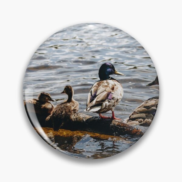 Item preview, Ducks in the Sun designed and sold by CumbriaArt.