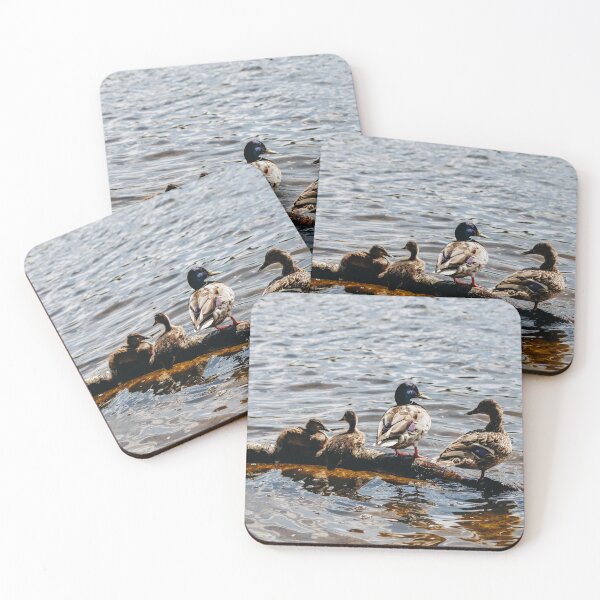 Item preview, Ducks in the Sun designed and sold by CumbriaArt.