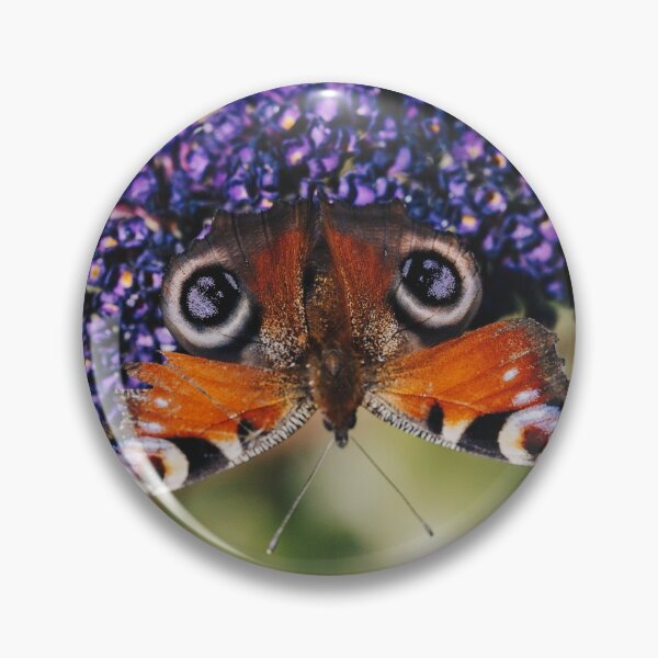 Item preview, Peacock Butterfly on Buddleia  designed and sold by CumbriaArt.