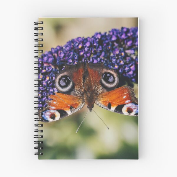 Item preview, Peacock Butterfly on Buddleia  designed and sold by CumbriaArt.