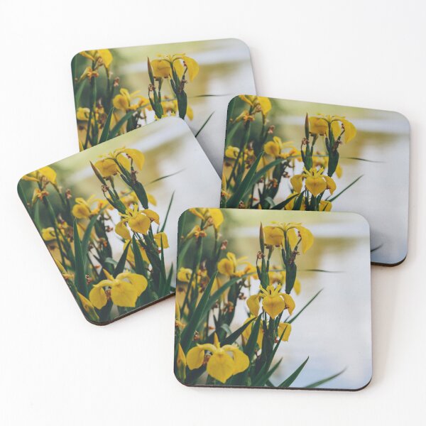 Item preview, Tarn Side Yellow Iris Pseudacorus designed and sold by CumbriaArt.