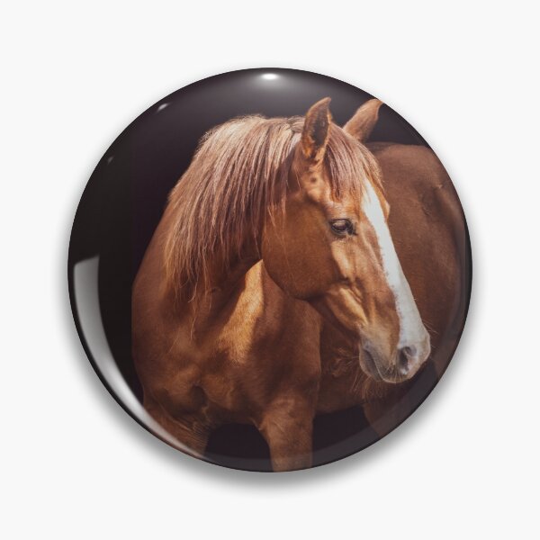 Item preview, Cute and friendly horse looking attentively. designed and sold by AylaHarbich.