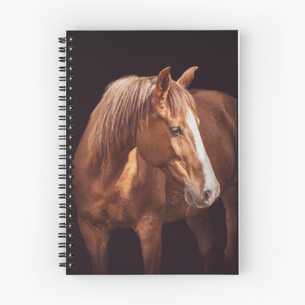 Item preview, Cute and friendly horse looking attentively. designed and sold by AylaHarbich.
