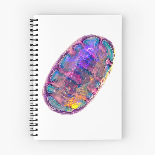 Item preview, The powerhouse of the cell - the mitochondria designed and sold by Mattias Karlen.