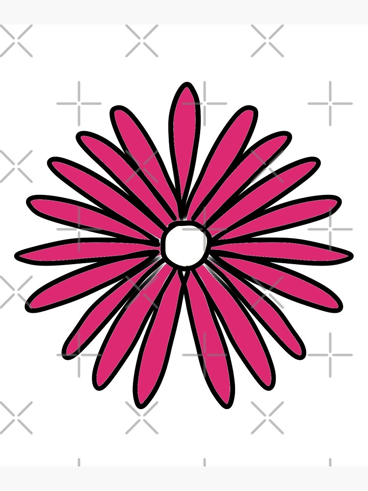 "Barberton daisy, daisy, daisies, daisy flower, Gerbera, Daisy Flowers