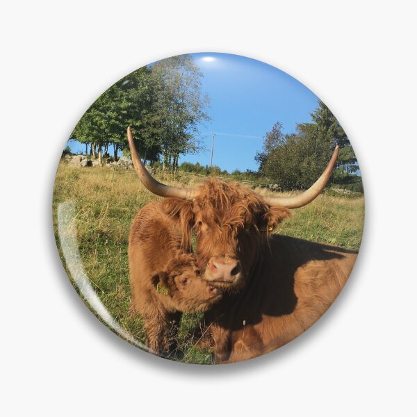 Item preview, Scottish Highland Cattle Cow and Calf 2515 designed and sold by SaarelaHighland.