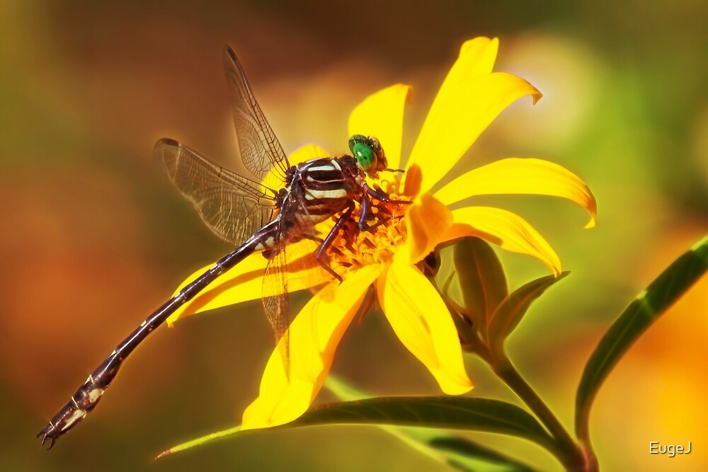 One Day Baby We Ll Be Old Original "One Day Baby We'll Be Old" by EugeJ | Redbubble