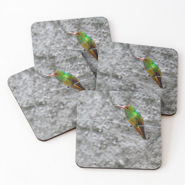 Item preview, Rufous-Tailed Hummingbird On A Wire designed and sold by alabca.