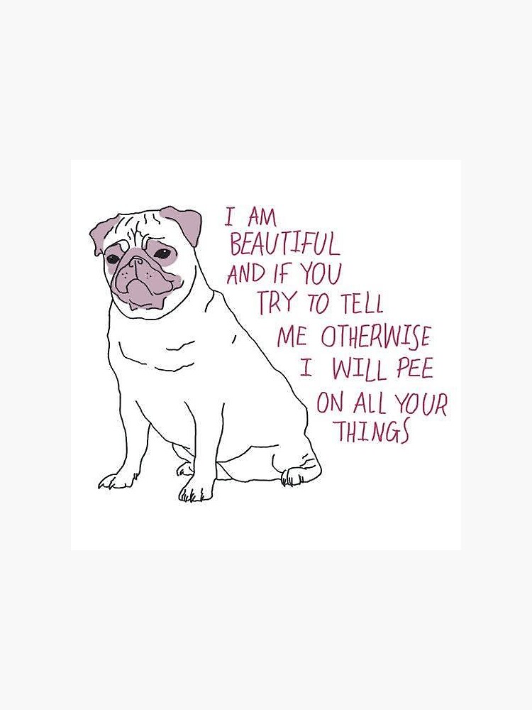 I am beautiful and if you try to tell me otherwise I will pee on all your things by suzannelise