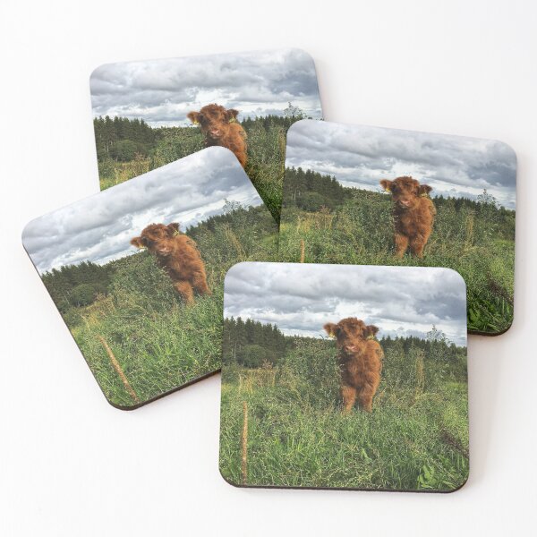 Item preview, Scottish Highland Cattle Calf 2521 designed and sold by SaarelaHighland.