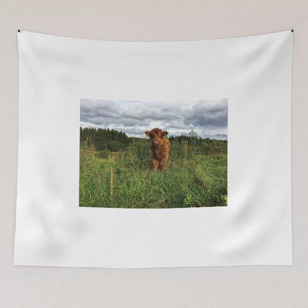 Item preview, Scottish Highland Cattle Calf 2521 designed and sold by SaarelaHighland.