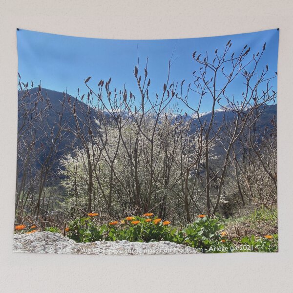 Item preview, Montcalm massif seen from Lapege designed and sold by AHELENE.