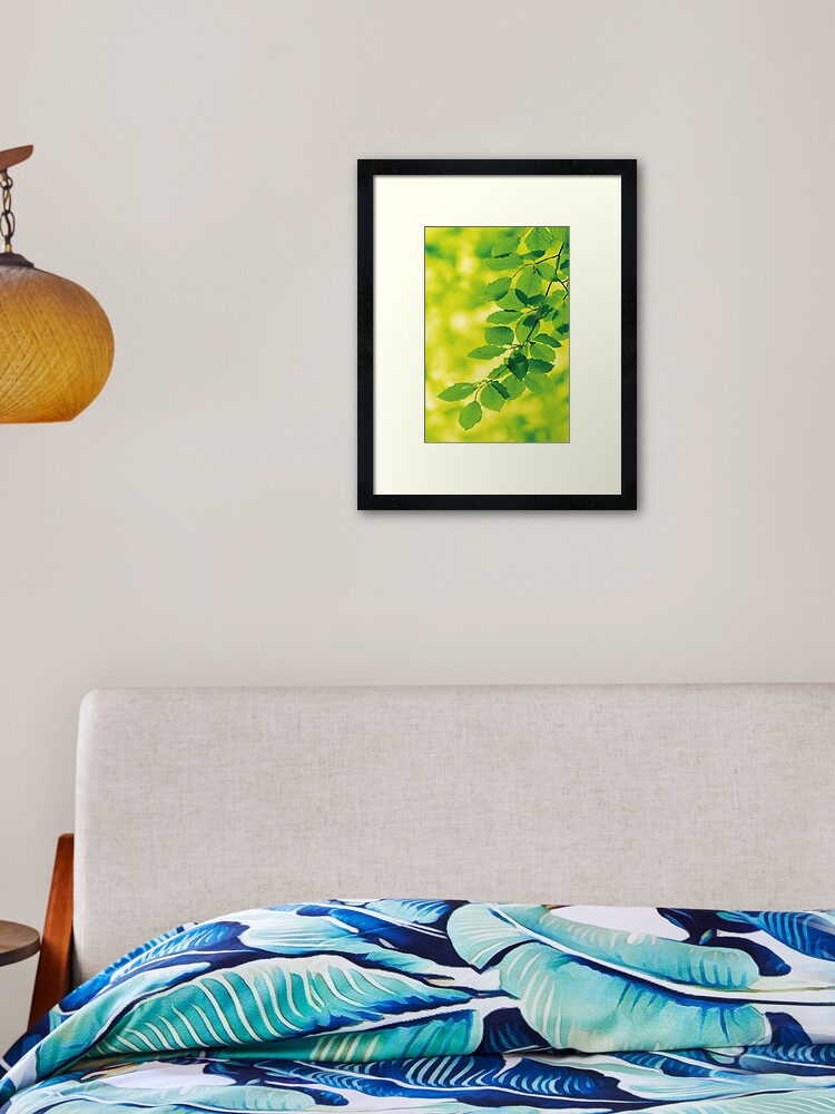 Thumbnail 1 von 7, Gerahmter Kunstdruck, Buchenblätter im Frühling designt und verkauft von Areetah.