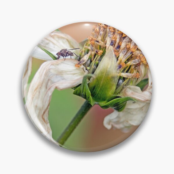 Item preview, Flower, white flower, fly, insect, macro, photo-macro. "Destructured flower and little fly" designed and sold by Véronique Lestoquoy.
