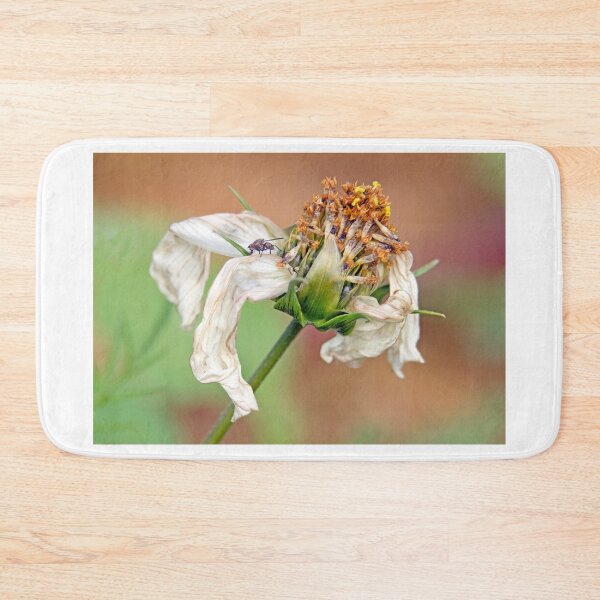 Item preview, Flower, white flower, fly, insect, macro, photo-macro. "Destructured flower and little fly" designed and sold by Véronique Lestoquoy.