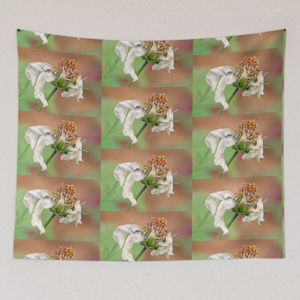 Item preview, Flower, white flower, fly, insect, macro, photo-macro. "Destructured flower and little fly" designed and sold by Véronique Lestoquoy.